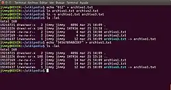 Description de l'image Diferencias entre enlaces duros y enlaces simbólicos en ambiente GNU Linux.jpg.