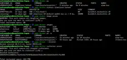 Description de l'image Docker commands screenshot.webp.