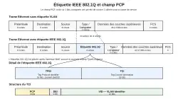 Schéma montrant l'insertion de l'étiquette IEEE 802.1Q dans une trame Ethernet et la position du champ PCP dans le TCI.