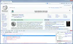 Description de l'image Firebug extension screenshot.png.