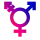 icône décorative
