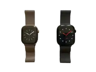 Image illustrative de l’article WatchOS