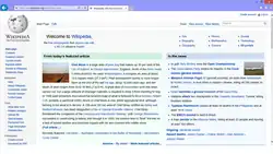 Description de l'image Internet Explorer 11 on Windows 8.1.png.