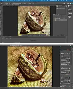 Description de l'image Photoshop-screenshot.jpg.