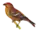 icône décorative
