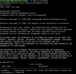Aperçu de la console psql en version 16.1