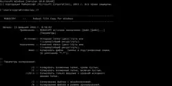 Description de l'image Robocopy screenshot.png.