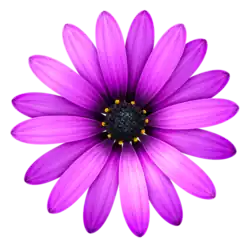 Description de l'image TextmateIcon.png.