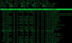 Description de l'image Top (Linux) screenshot.png.