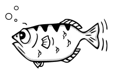 Description de l'image GDB Archer Fish by Andreas Arnez.svg.