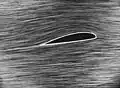 Angle d'incidence « normal » et écoulement laminaire.