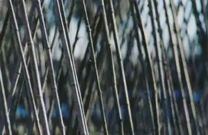 210&nbsp;mm :longue focale, image de grande taille.