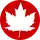 icône décorative