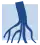 icône décorative