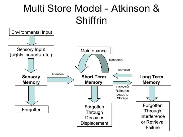 [■Structure■]               information                                                                  mémoire sensorielle                                    mémoire de travail                                        mémoire stockage                                  mémoire réflexe