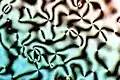Texture d'un cristal liquide nématique. Les zones colorées sont séparées par des filaments et des nœuds noirs.