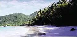 Plage tropicale avec sable, surf et arbres. Quelques personnes se baignent.