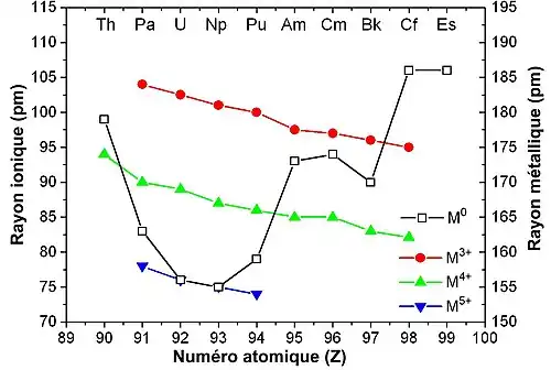 Rayon métallique (en noir) des actinides. On observe que le rayon métallique du protactinium, de l'uranium, du neptunium et du plutonium est sensiblement inférieur à celui des autres actinides (thorium, américium, curium, berkélium,&nbsp;etc.). Cet effet est imputable aux électrons des orbitales 5f.