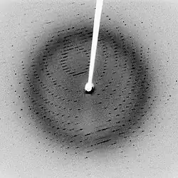 Cliché de diffraction de la protéase virale 3CLpro cristallisée.