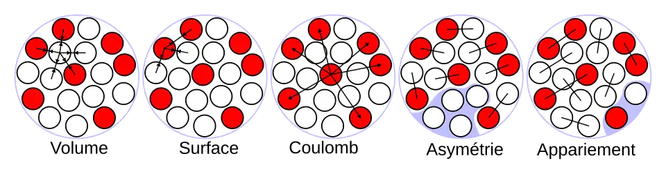 Illustration des termes de la formule de Bethe-Weizsäcker dans le modèle de la goutte liquide du noyau atomique. Les protons sont représentés par les ronds rouges et les neutrons par les ronds blancs.